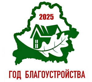 Год качества